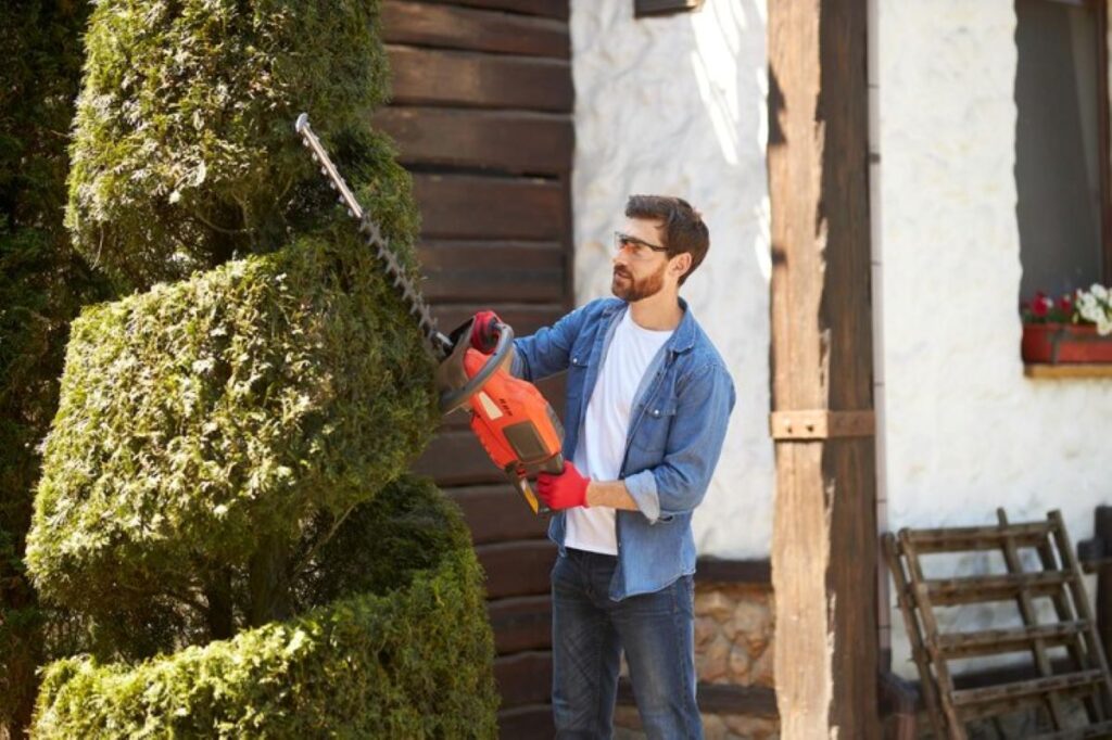 Hedge trimming cost