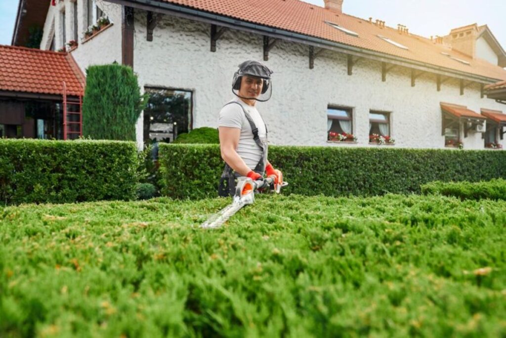 hedge trimming service