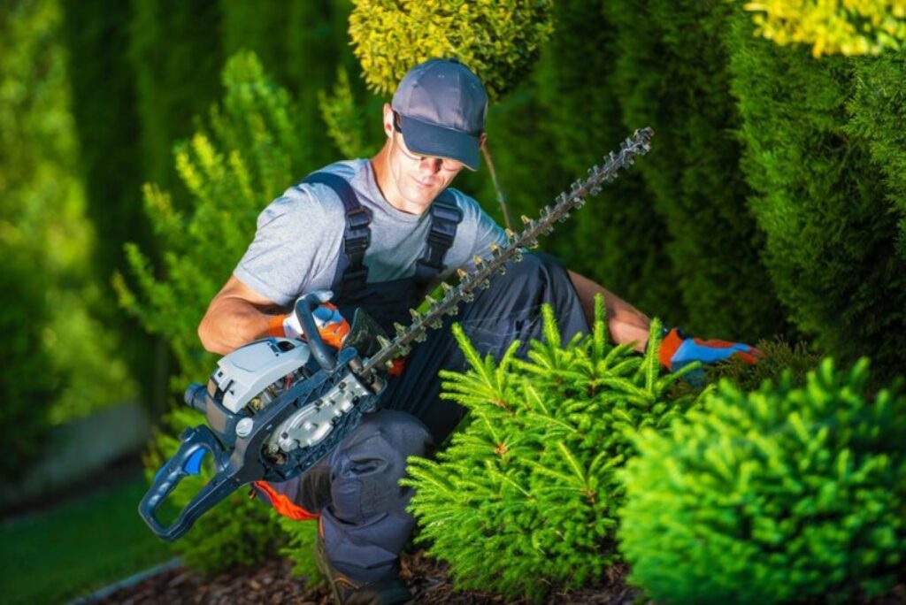 Hedge trimming cost